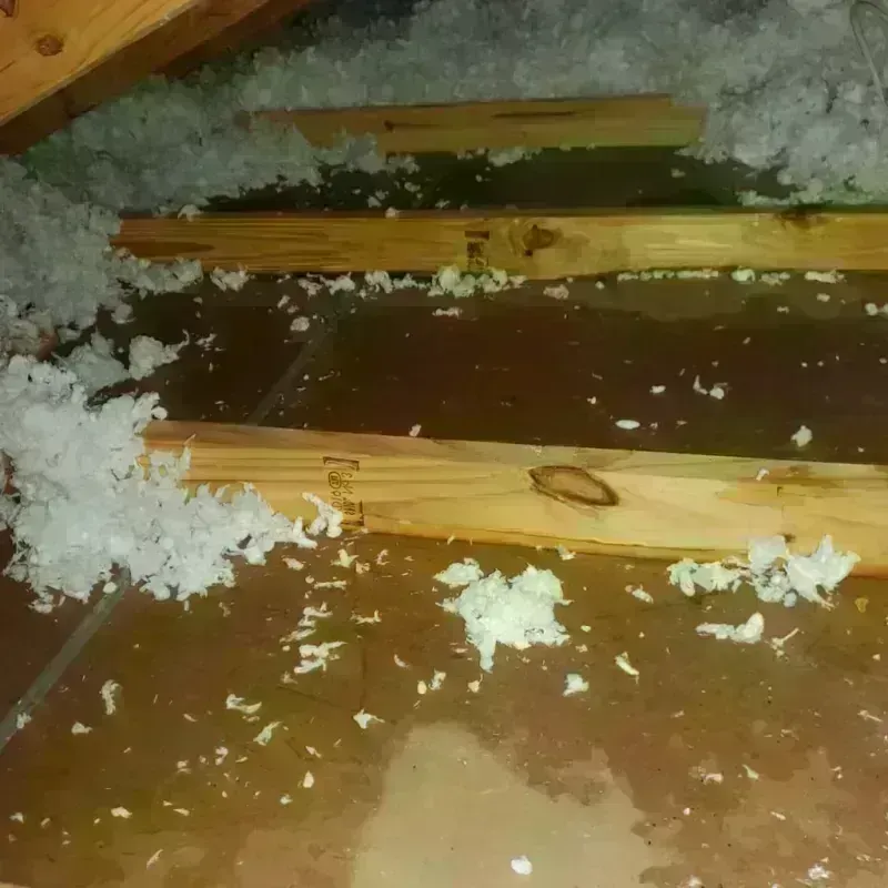 Attic Water Damage in Wildomar, CA